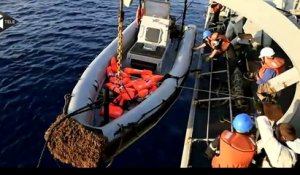 327 naufragés secourus sur les côtes italiennes
