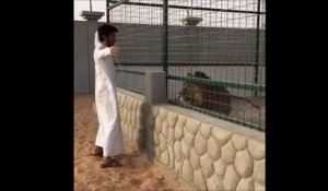 Un gars cherche un lion en cage mais une fois la bête libérée il ne fait plus le malin!