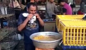 WTF : Un homme nourrit des pigeons en leur soufflant dans le bec