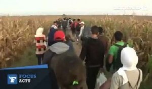 Des milliers de migrants rejoignent la Croatie