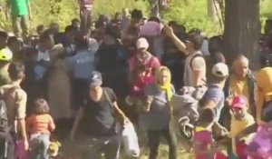La police croate débordée par l'arrivée de réfugiés à Tovarnik