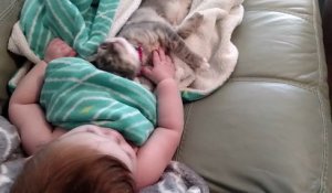 Un bébé se réveille à coté d'un chaton. Adorable