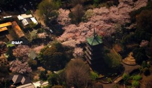 20H45 - Mardi 29 Septembre - Vu du Ciel : Japon