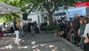 La foire aux croûtes 2015 à Saint-Lô