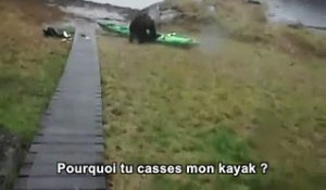 Cette femme supplie un ours de ne pas détruire son kayak