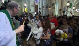Aux Philippines, une messe pour bénir les animaux