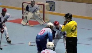 Yeti's Grenoble - Tigres de Garges (11-3) - Rolle-hockey Ligue Elite #1