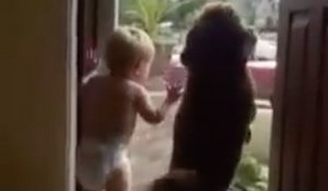 Un bébé et son chien heureux quand papa rentre à la maison