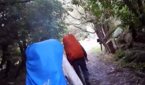 Un pont suspendu s’effondre sous les pieds de randonneurs français en Nouvelle-Zélande