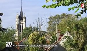 Goussainville, un village figé dans le temps