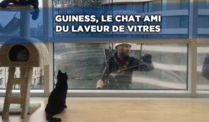 Guiness, le chat ami du laveur de vitres.