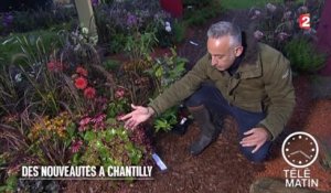 Jardin - Les journées des Plantes au Domaine de Chantilly - 2015/10/16