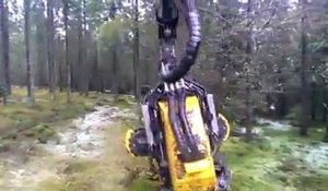 Cette machine à couper des arbres est HALLUCINANTE !!!