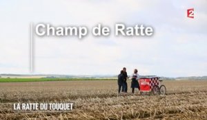 Marchés - La ratte du Touquet - 2015/10/17