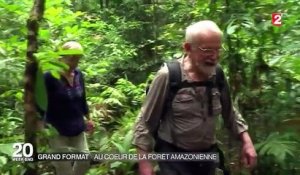 Au coeur de la forêt amazonienne