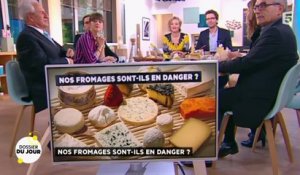 Dossier du Jour : Nos fromages sont-ils en danger ?