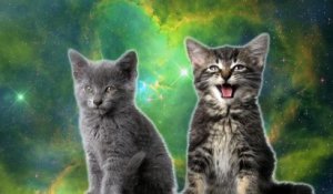 Des chats qui chantent dans l'espace... WTF?????