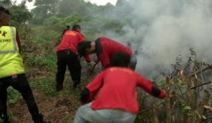 Indonésie: des habitants désespérés luttent contre les feux