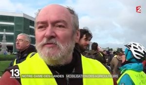 Nantes : nouvelle journée de mobilisation contre l'aéroport de Notre-Dame-des-Landes