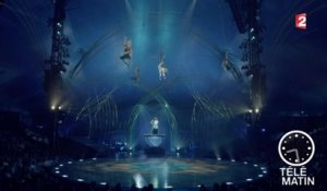 Coulisses - « Amaluna » : le retour du Cirque du Soleil - 2015/11/02