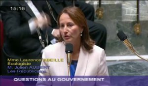 Lutte contre le braconnage : Ségolène Royal répond à une question au Gouvernement