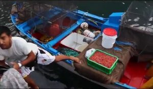 Un jeune garçon joue dans l’eau avec un drôle de compagnon