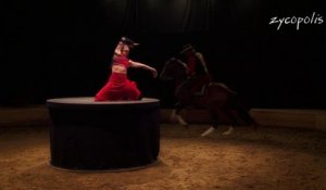 Théâtre Equestre Camarkas - La Nuit des Gitans - LIVE HD