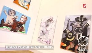 Carré VIP - Le musée Picasso par son petit-fils - 2015/12/03