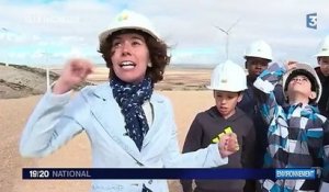 COP21 : à la découverte des éoliennes espagnoles