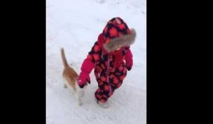 Un chat saute sur une petite fille par surprise