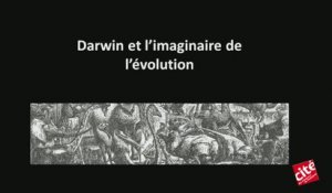 Darwin et l'imaginaire de l'évolution