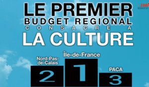 Faut-il réduire le budget de la culture en Ile-de-France?