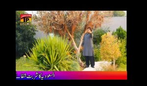 Gali - Ameer Niazi - Charkha - Vol 4 - New Hits Song