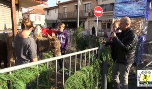 GRAU D'AGDE - 2015 - MARCHE de NOEL 2015 - Le matin atelier de Coloriage & peinture