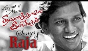 Ilayaraja hit songs HD Nee segapu