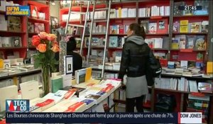 Les ventes de livres en France sont reparties à la hausse en 2015 - 04/01