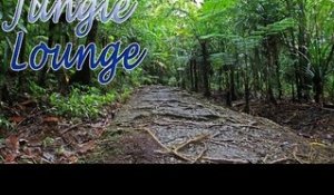 Music For Yoga - Jungle Lounge Sound Music For Relaxation, Meditation, Stress Relief