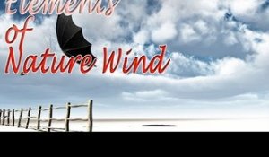 Music For Yoga - Elements of Nature Wind - Relaxing Nature Wind, Meditation, Stress Relief