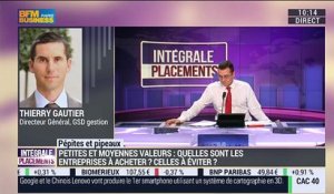 Pépites & Pipeaux: "Gemalto reste une valeur de croissance", Thierry Gautier - 08/01