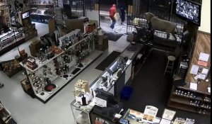 Braquage d'une boutique d'armes à Houston