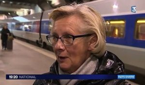 La SNCF teste des portiques anti-fraude sur les quais TGV