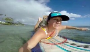 Ce chat borgne adore faire du surf