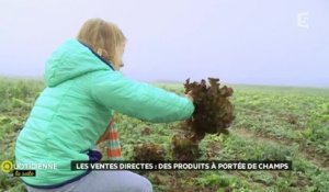 Les ventes directes : des produits à portée de champs