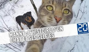 Manny, le chat maître des selfies