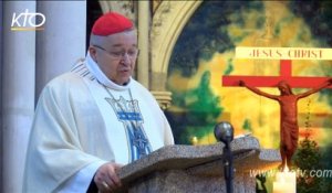 Homélie du Cardinal André Vingt-Trois à Pontmain