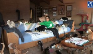 Elle vit avec 1100 chats ! - Le rewind du mercredi 20 janvier 2016.