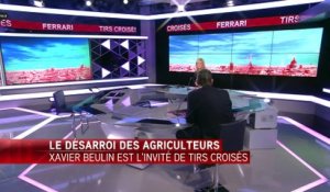Xavier Beulin: "les éleveurs ont le sentiment de ne plus avoir de ministre"