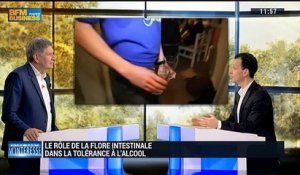 Quel rôle joue la flore intestinale dans la tolérance à l'alcool ? – 23/01