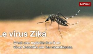 Le virus Zika expliqué en 1 minute