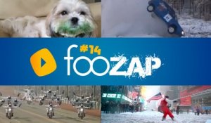 Foozap #14